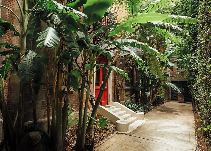 Maison Du Comte Mexico City